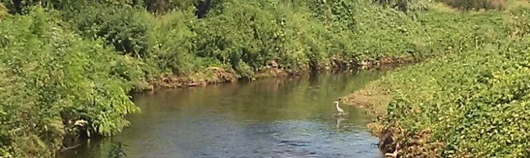 Percorso 12: LEGNANO E L’AMBIENTE